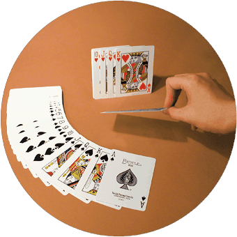 Fabrice's Platinum Akana